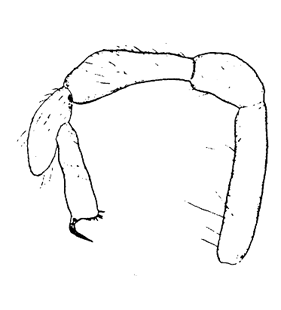 speciesimage