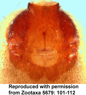speciesimage
