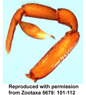 speciesimage