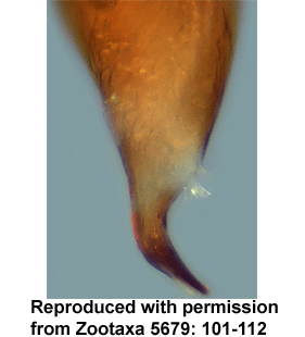 speciesimage