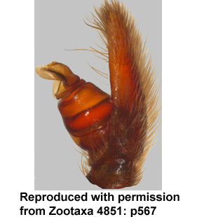 speciesimage