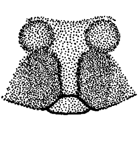 speciesimage