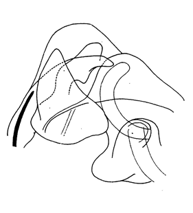 speciesimage