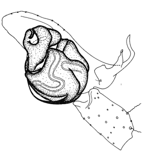 speciesimage