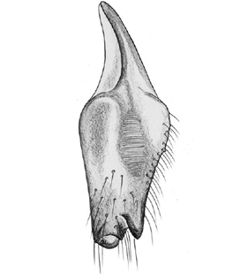 speciesimage