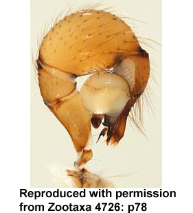 speciesimage