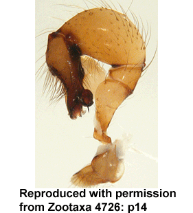 speciesimage