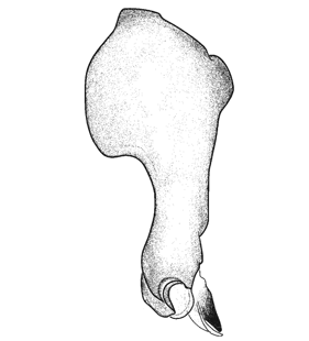 speciesimage