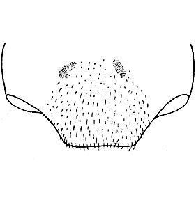 speciesimage