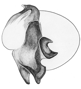 speciesimage