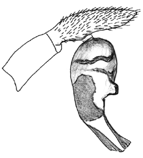 speciesimage