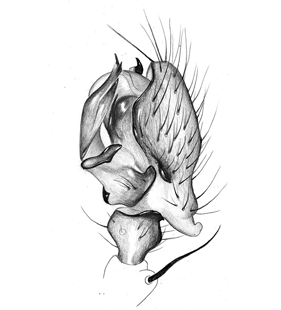 speciesimage