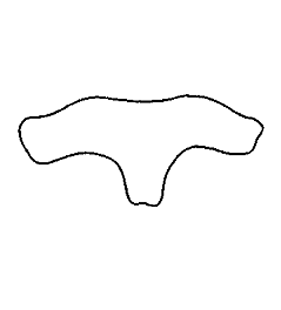 speciesimage