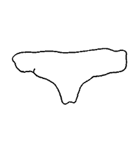 speciesimage