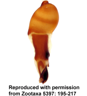 speciesimage