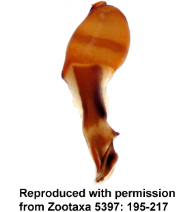 speciesimage