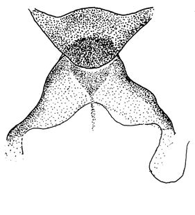 speciesimage
