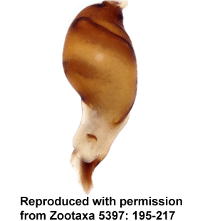 speciesimage