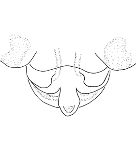 speciesimage