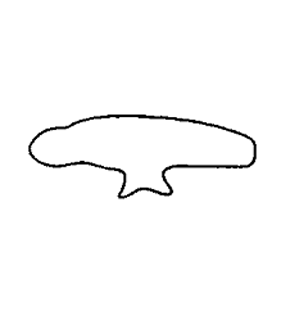 speciesimage