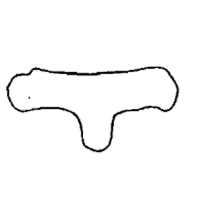 speciesimage