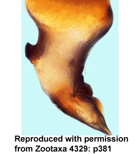 speciesimage
