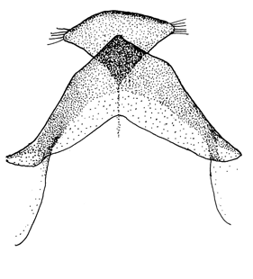 speciesimage