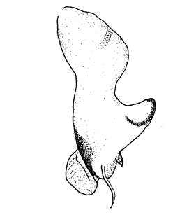 speciesimage