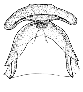 speciesimage