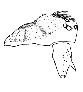 speciesimage