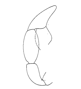speciesimage