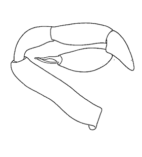 speciesimage