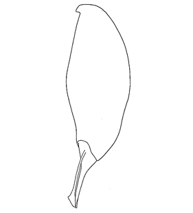 speciesimage