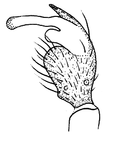 speciesimage