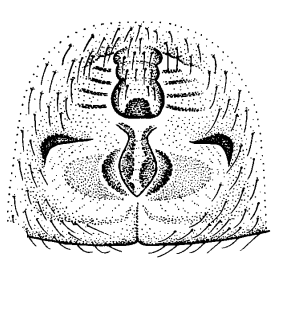 species