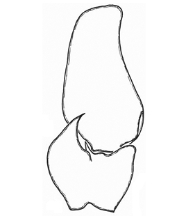 speciesimage