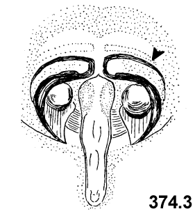 speciesimage