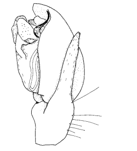 speciesimage