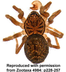 speciesimage