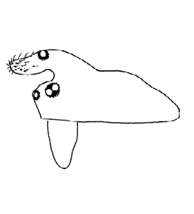 speciesimage