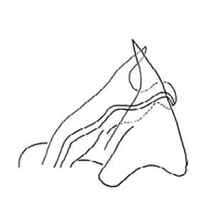 speciesimage