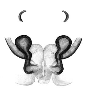 speciesimage