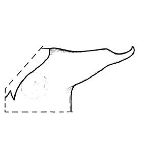 speciesimage