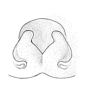 speciesimage