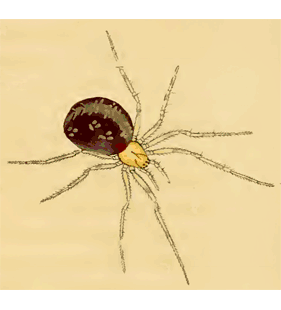 speciesimage