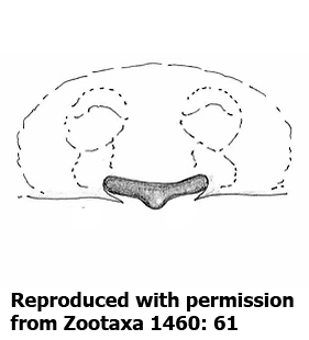speciesimage