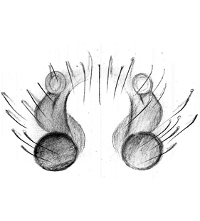 speciesimage