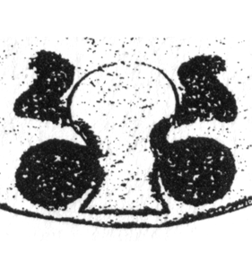 speciesimage