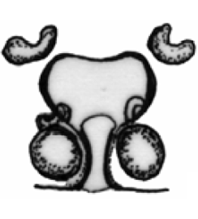 speciesimage