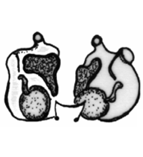 speciesimage